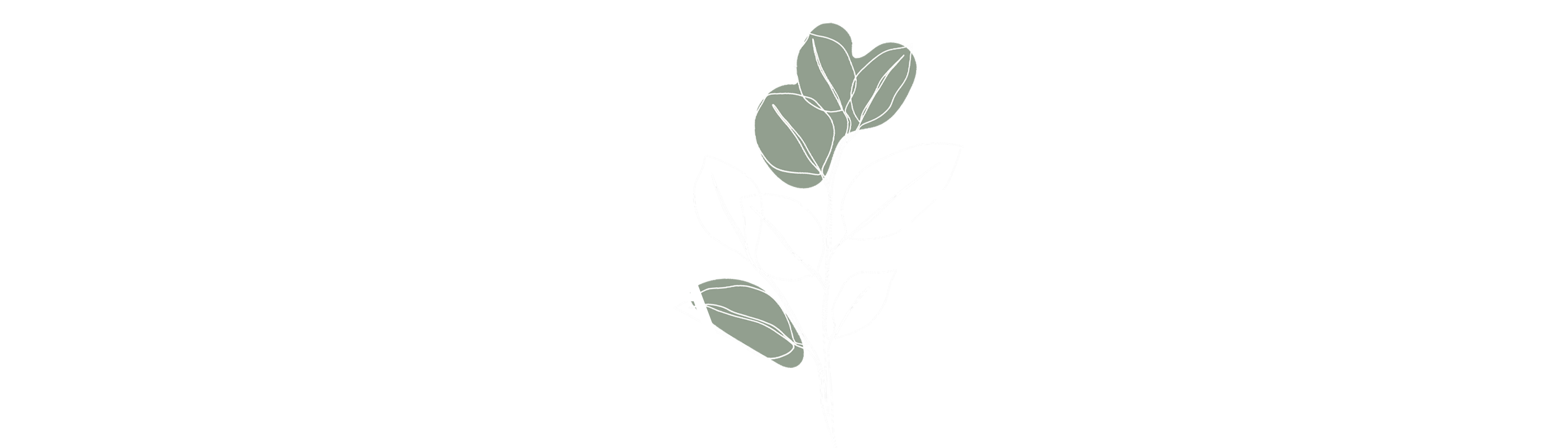 Sophia Busch Fotografie & Grafikdesign